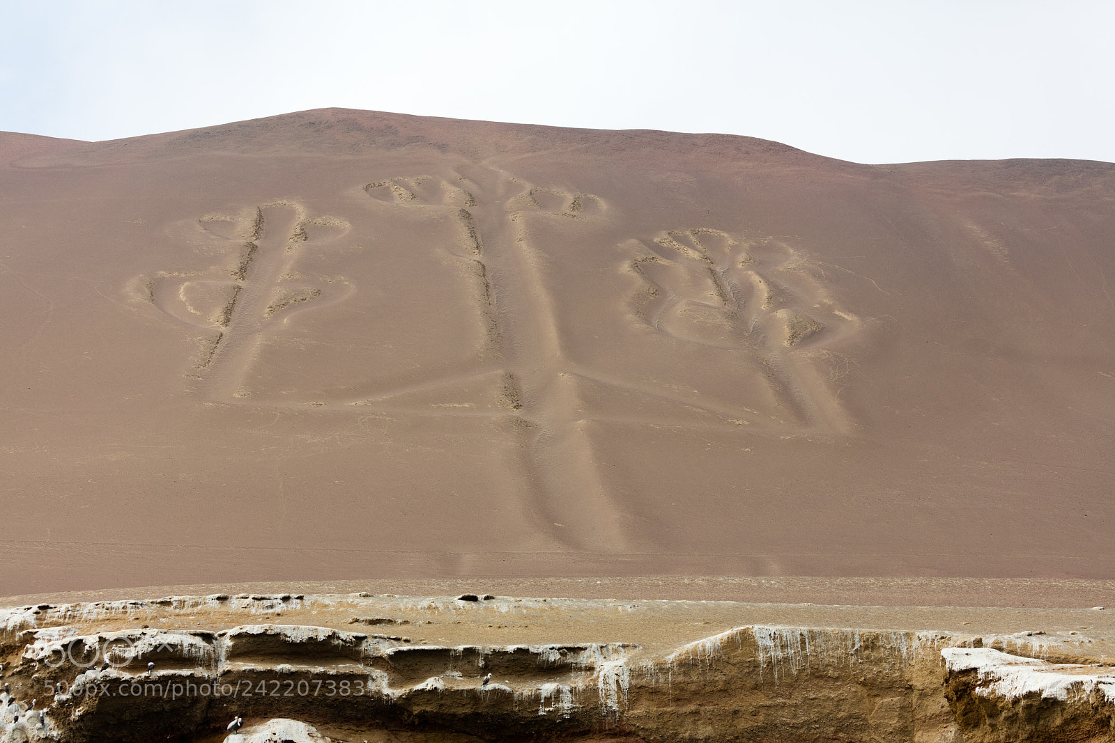 Canon EOS 5DS R sample photo. Ballestas candelabrum mark photography