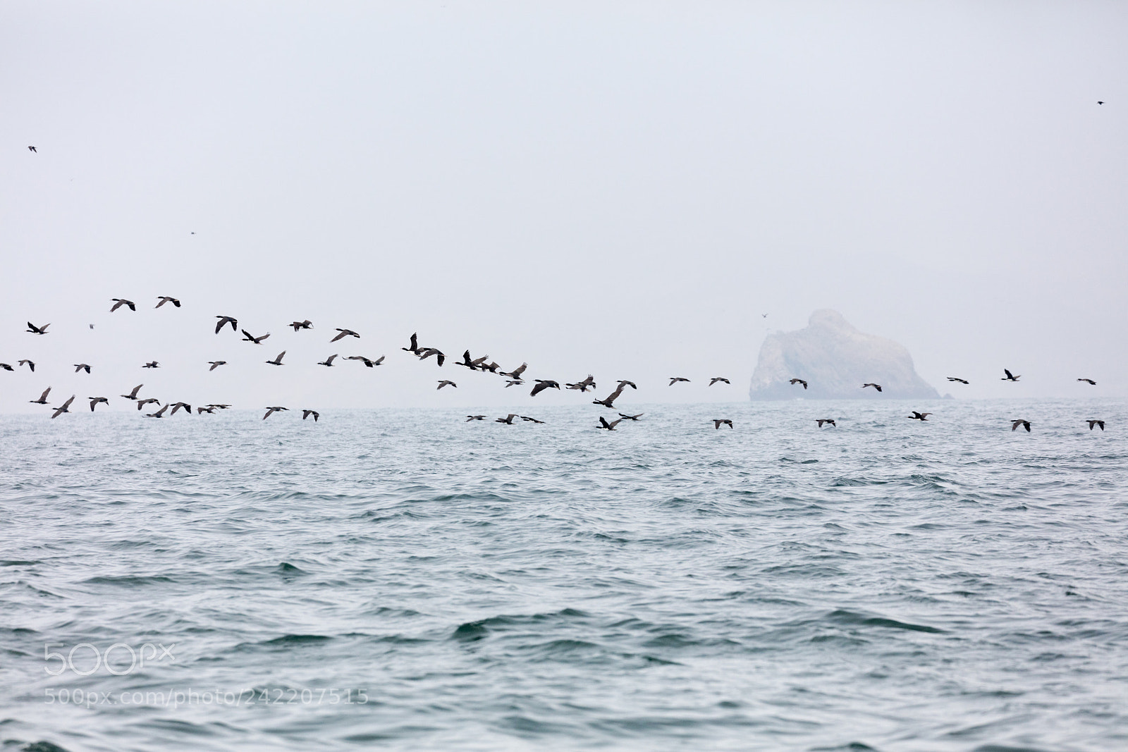 Canon EOS 5DS R sample photo. Ballestas islands, peru photography