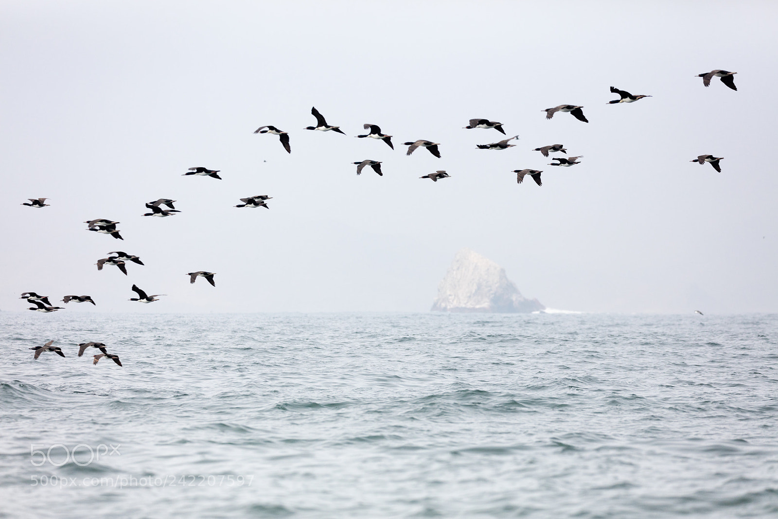 Canon EOS 5DS R sample photo. Ballestas islands, peru photography