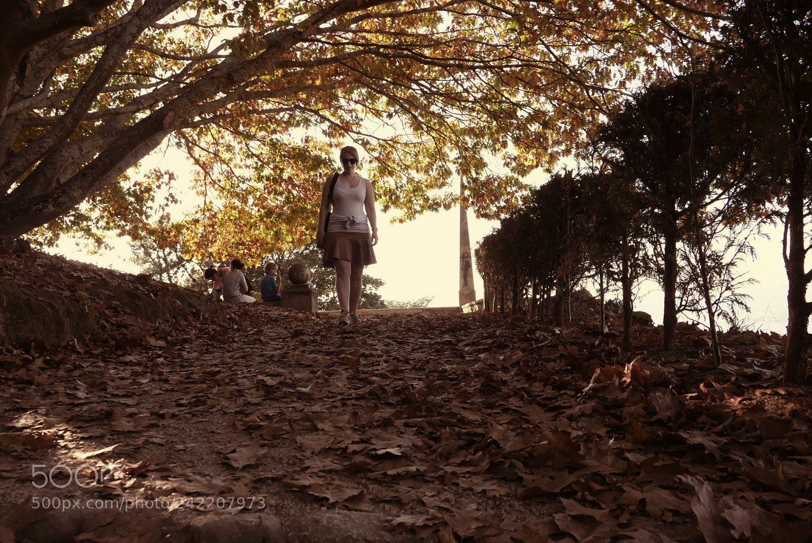 Panasonic Lumix DC-GH5 sample photo. Autumnal colours photography