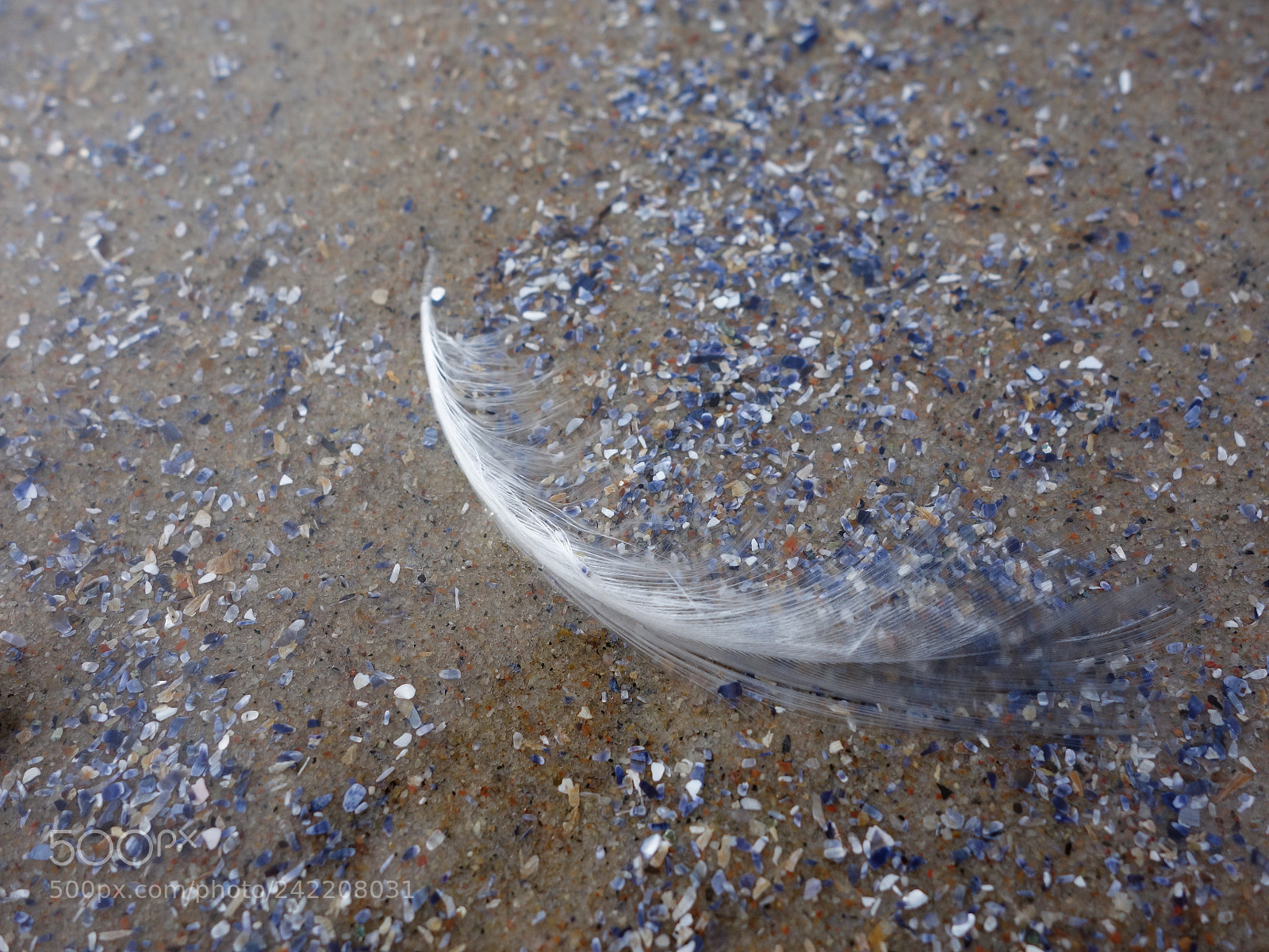 Sony Cyber-shot DSC-RX100 sample photo. Merged photography