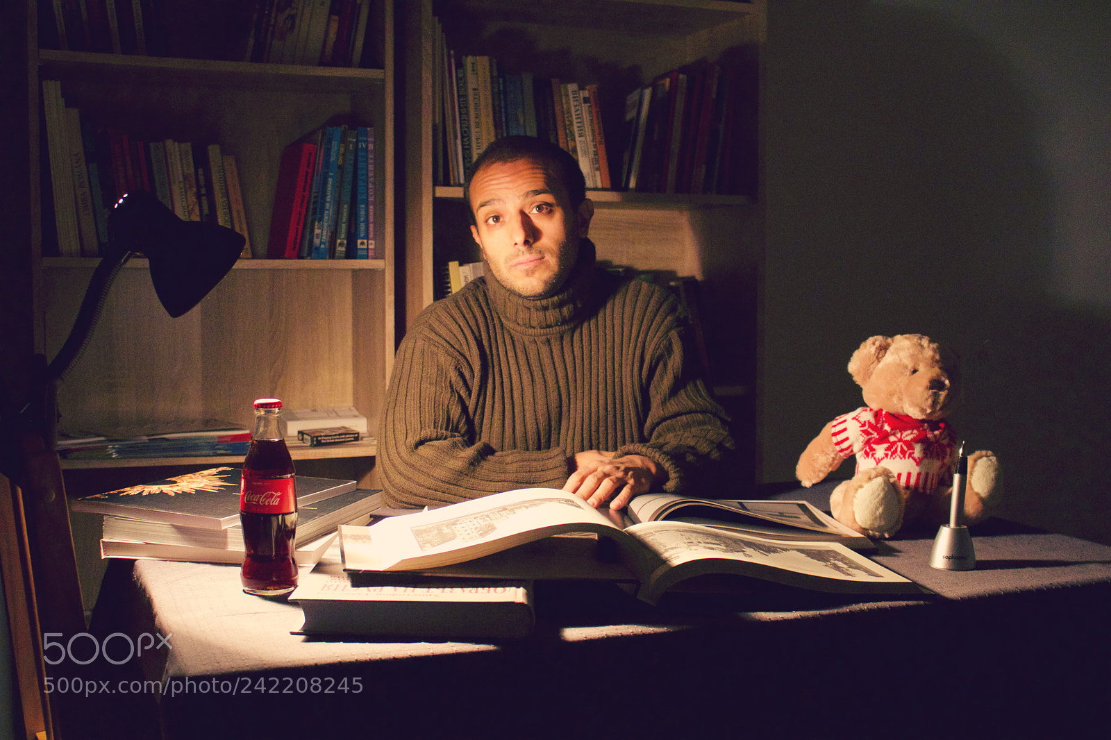Canon EOS 750D (EOS Rebel T6i / EOS Kiss X8i) sample photo. Nigh xmas portrait photography