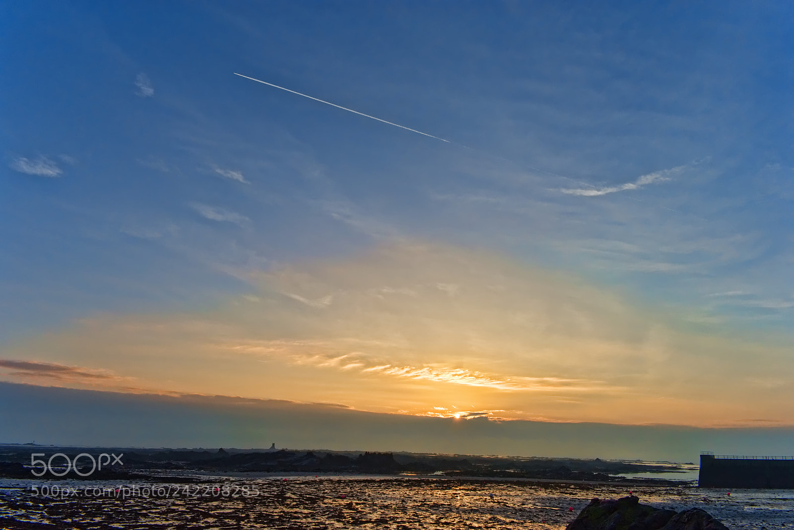Nikon D3400 sample photo. Happy mornings 01 photography
