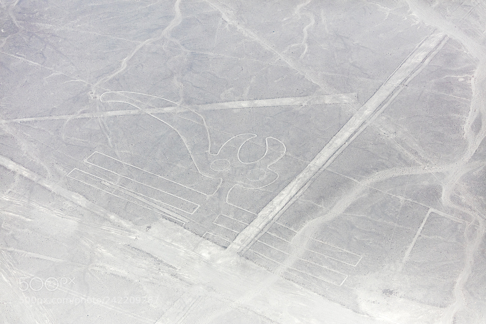 Canon EOS 5DS R sample photo. Nazca lines from the photography