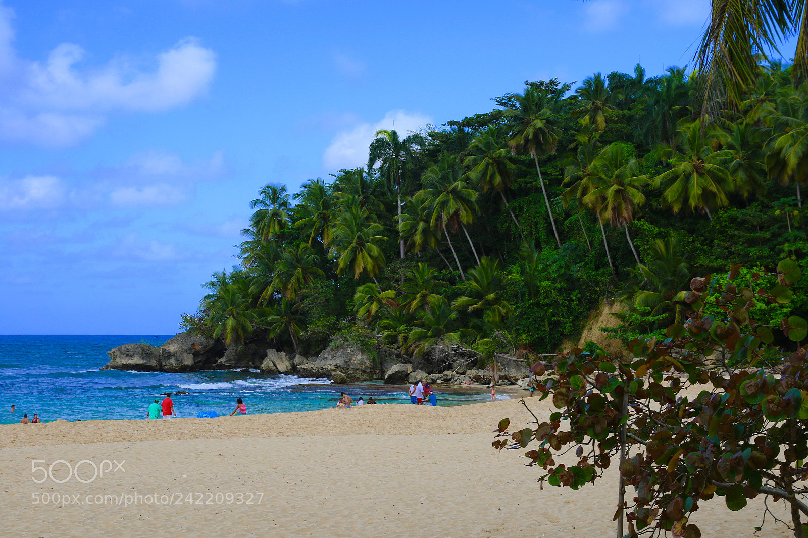 Canon EOS 7D Mark II sample photo. Beautiful photography