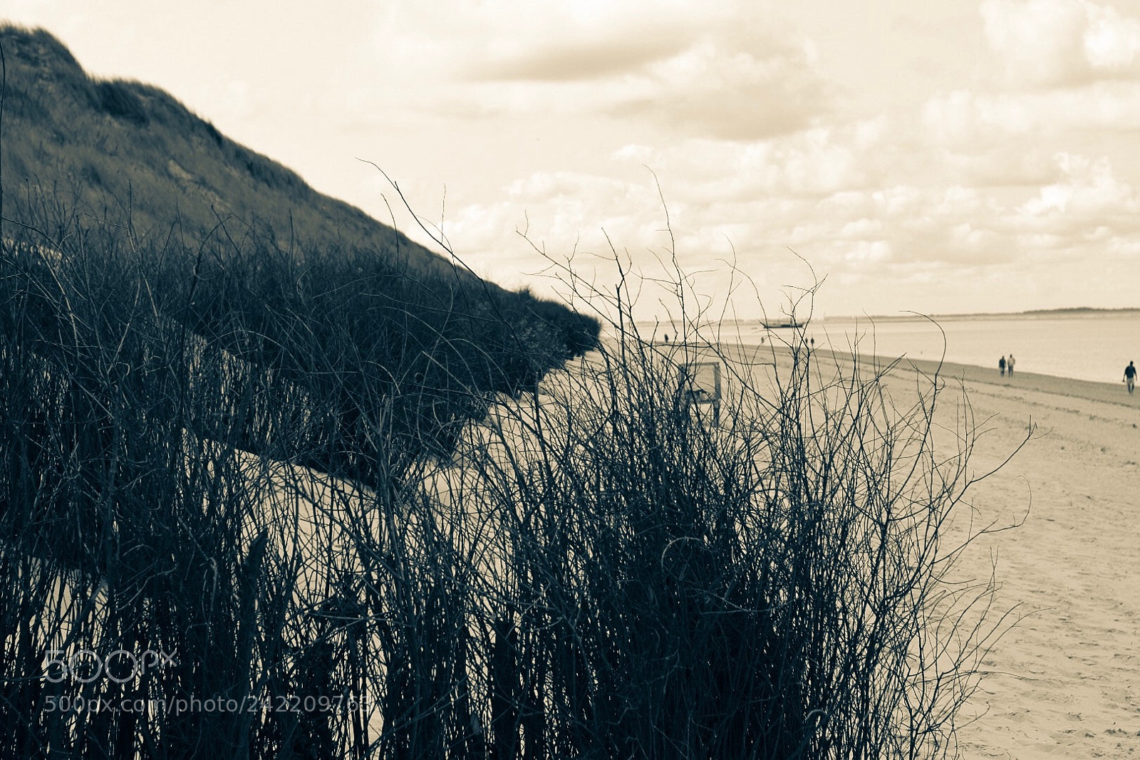 Nikon D5500 sample photo. Beachtime photography