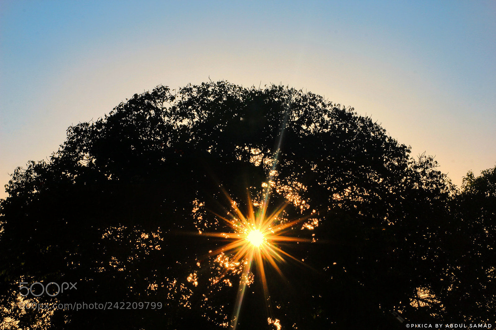 Canon EOS 60D sample photo. 'morning rays photography