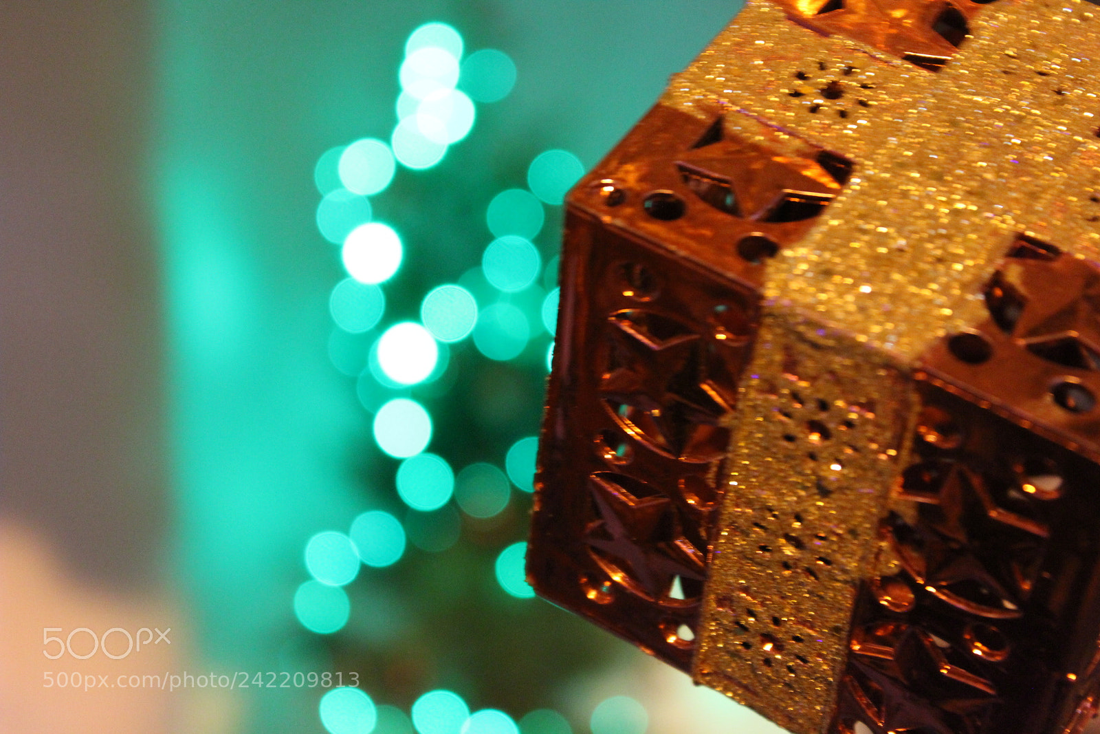 Canon EOS 1300D (EOS Rebel T6 / EOS Kiss X80) sample photo. Bye bye xmassss.... photography