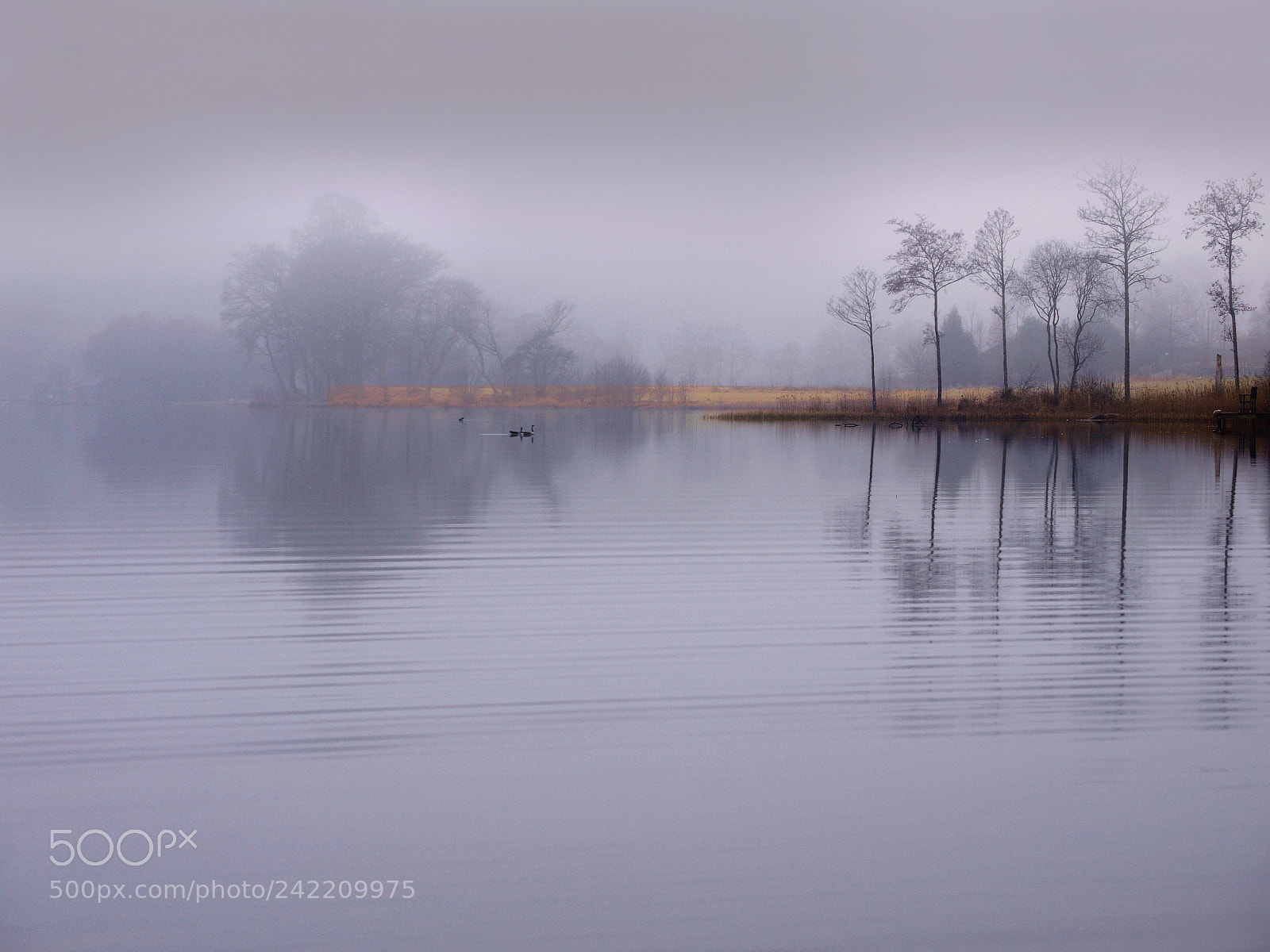 Panasonic Lumix DMC-GF1 sample photo. Hymn to the silence photography