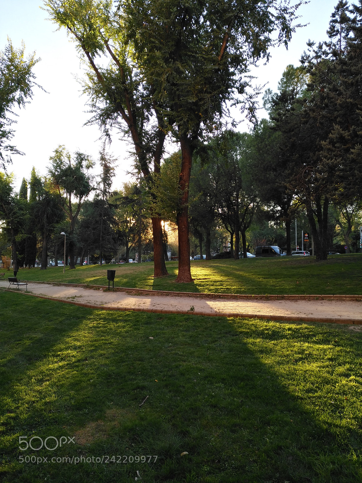 HUAWEI nova plus sample photo. Atardecer entre arboles photography