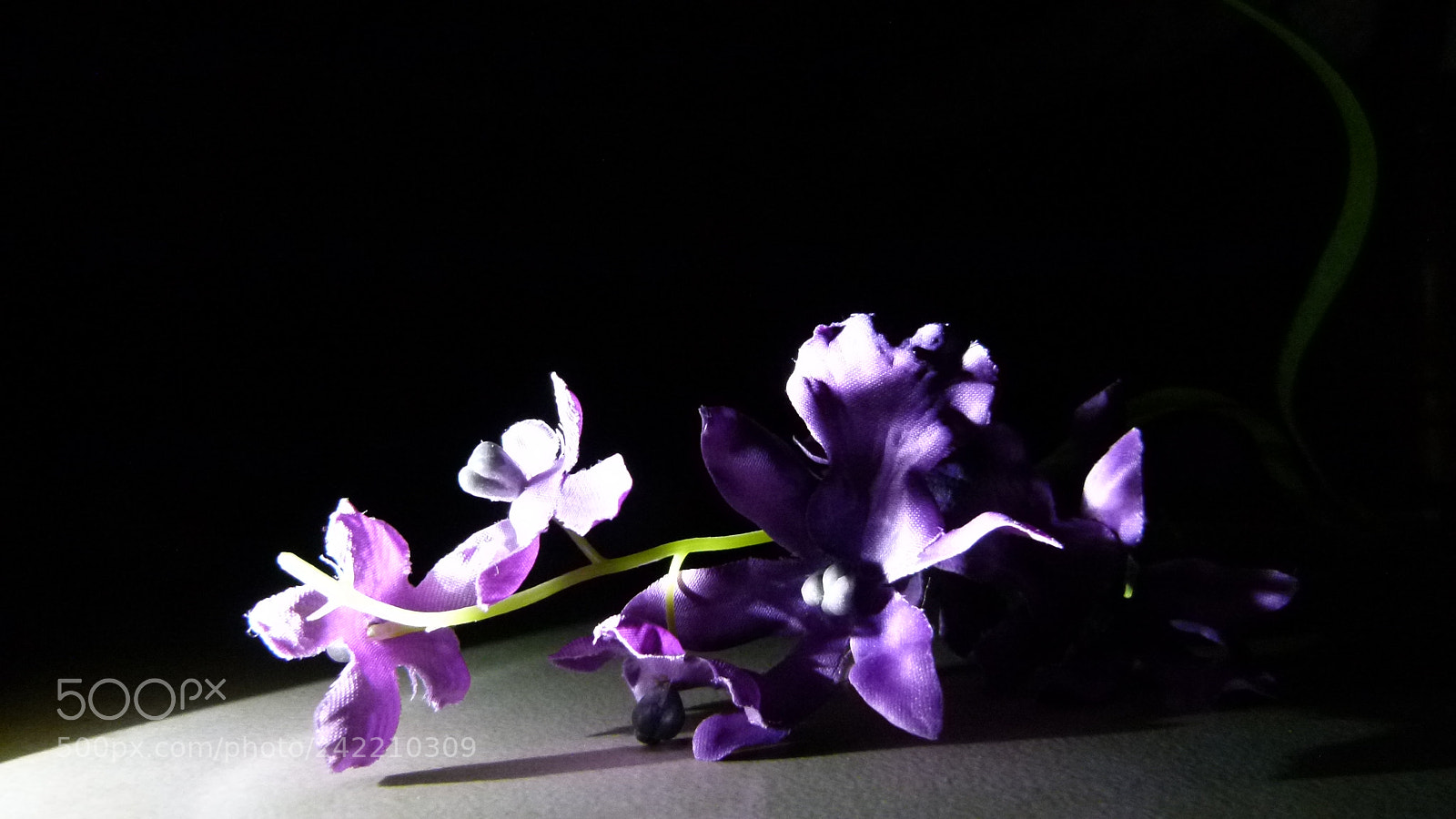 Leica V-Lux 2 sample photo. Untitled photography