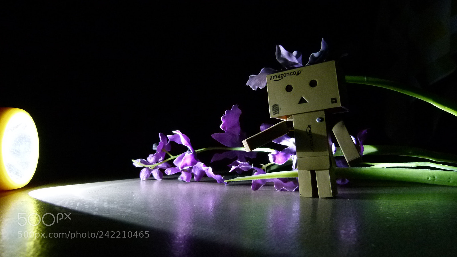 Leica V-Lux 2 sample photo. Untitled photography