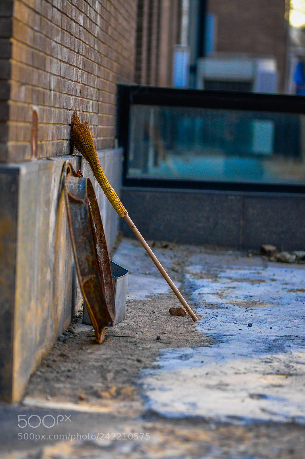 Nikon D90 sample photo. Untitled photography