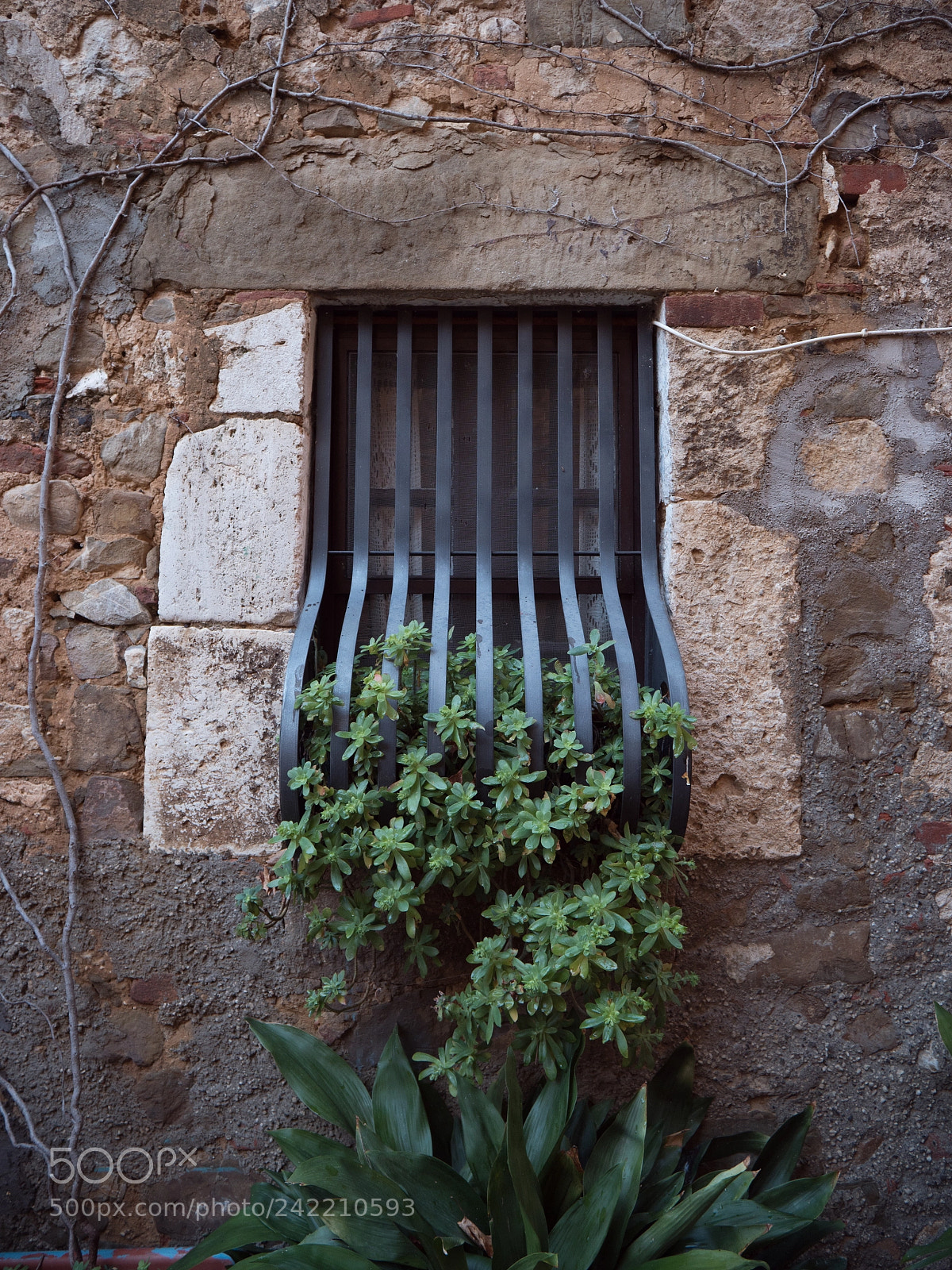 Panasonic Lumix DC-GH5 sample photo. Italian window photography