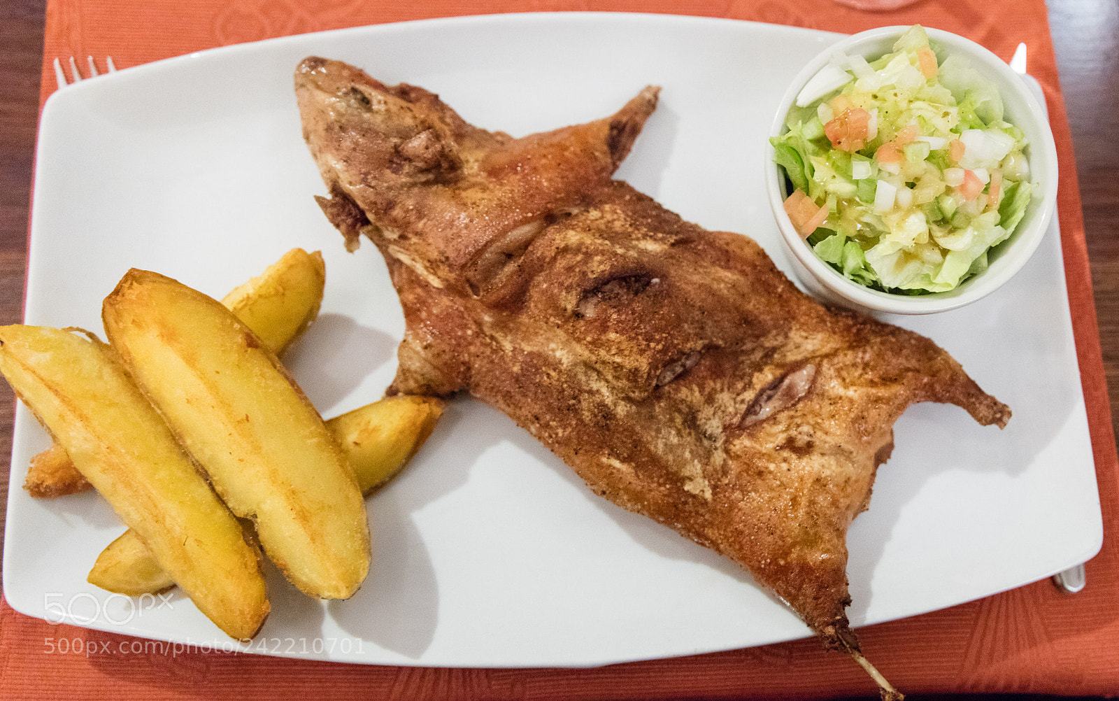 Canon EOS 5DS R sample photo. Fried guinea pig photography