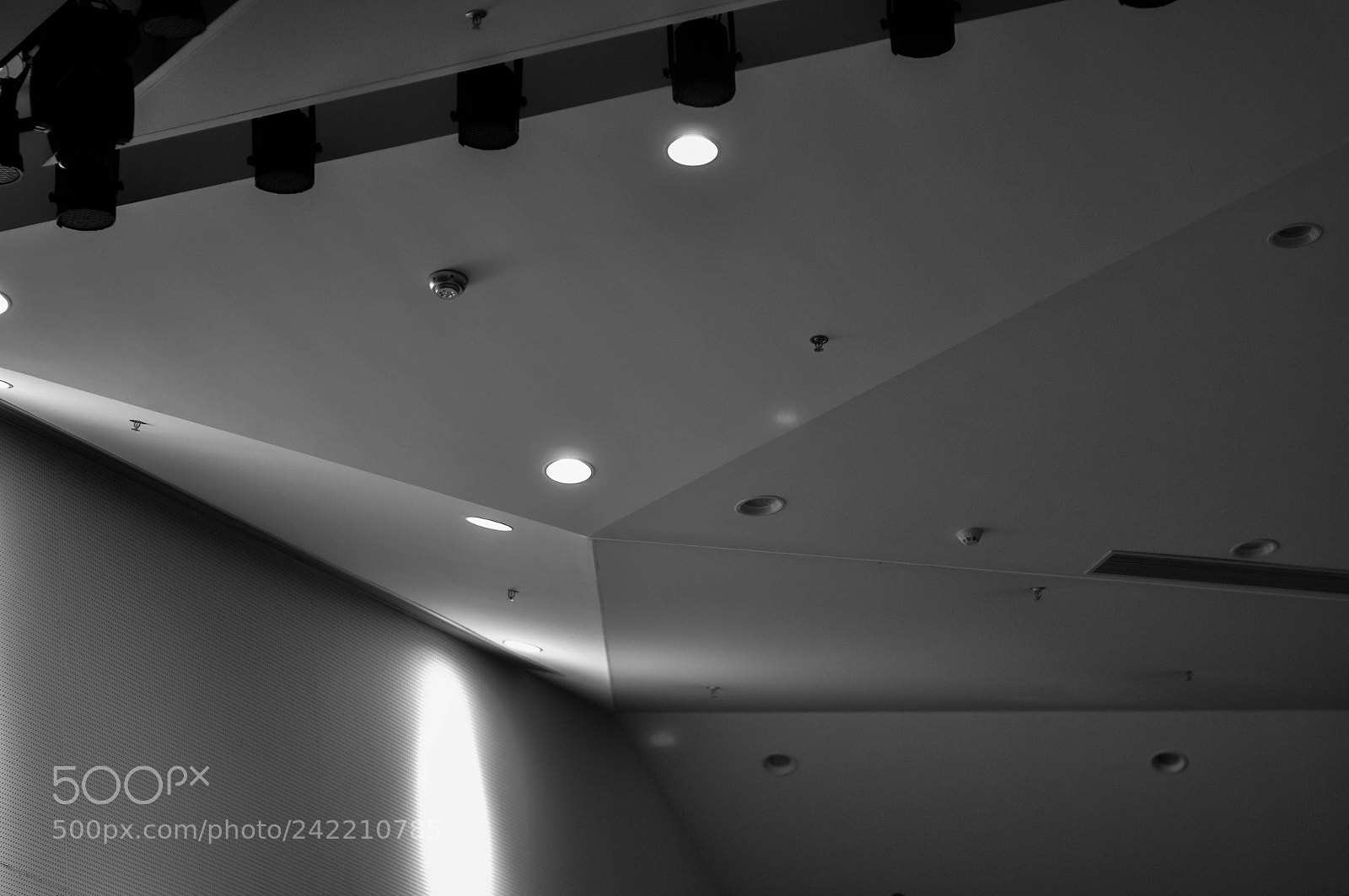 Nikon D90 sample photo. Untitled photography