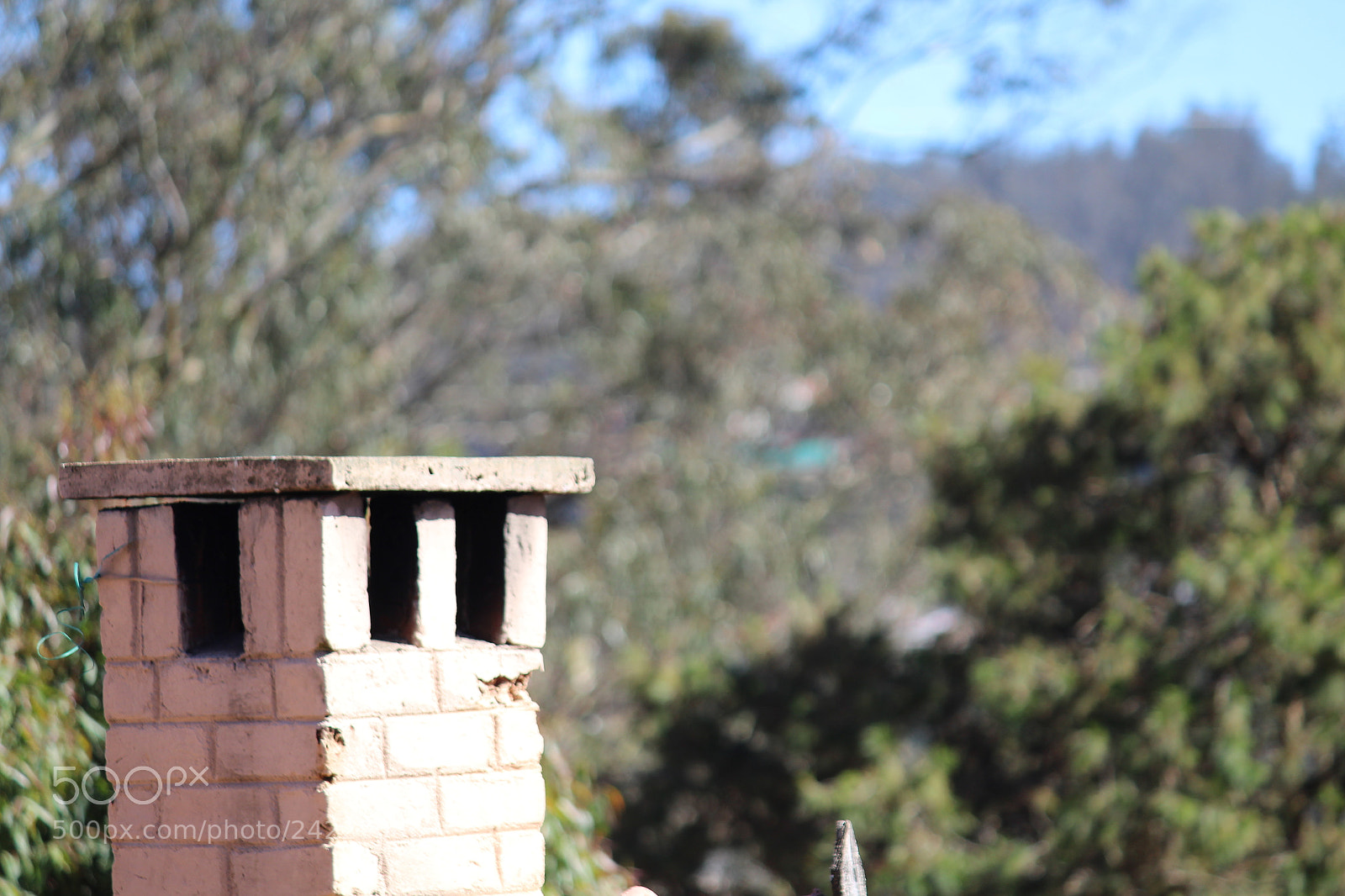 Canon EF-S 55-250mm F4-5.6 IS II sample photo. Untitled photography