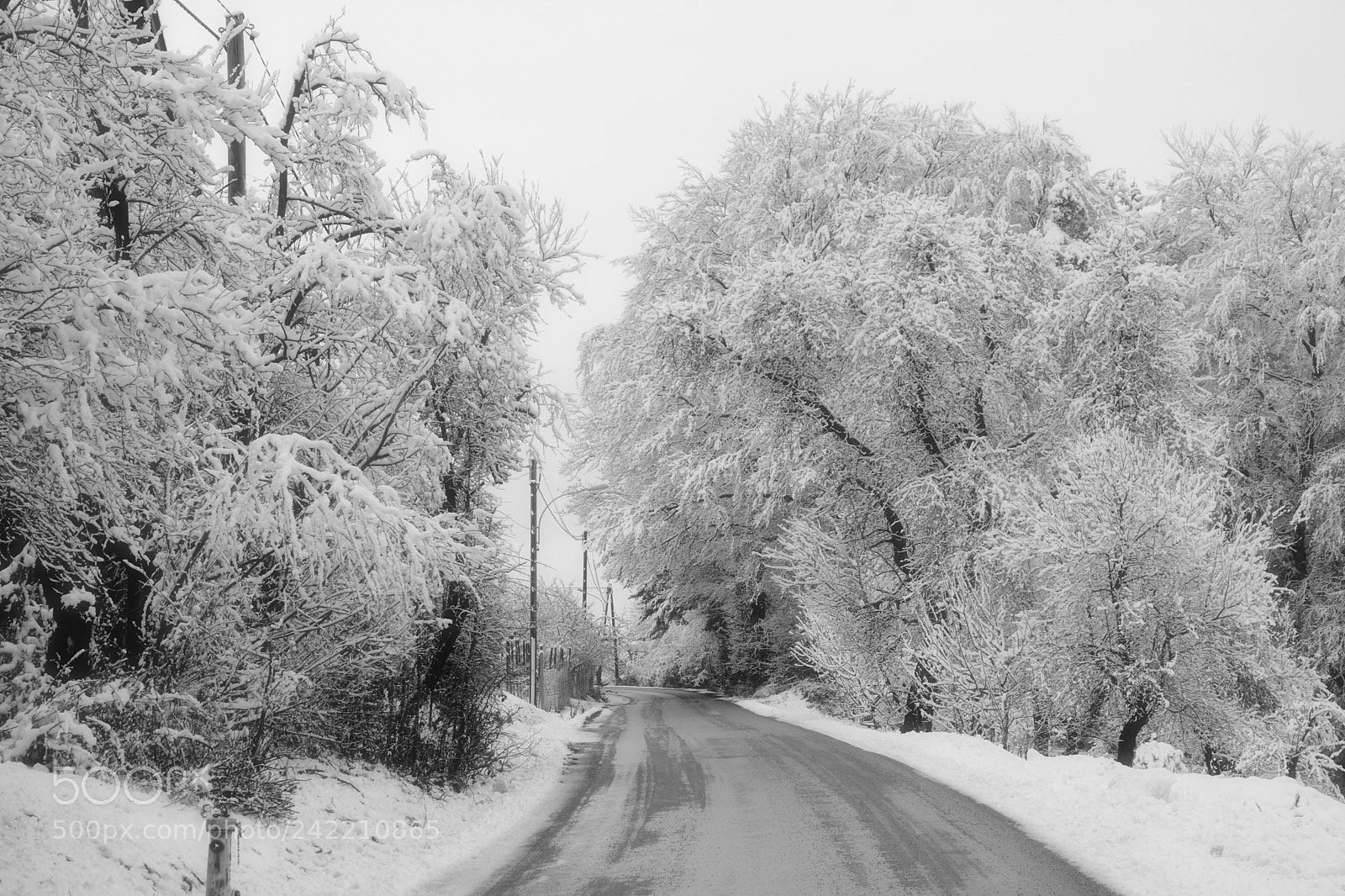 Nikon D7100 sample photo. Cold winterday photography