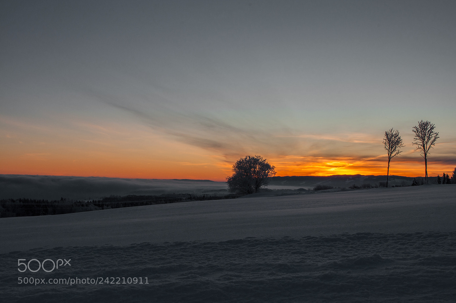 Nikon D5000 sample photo. Sunrise photography