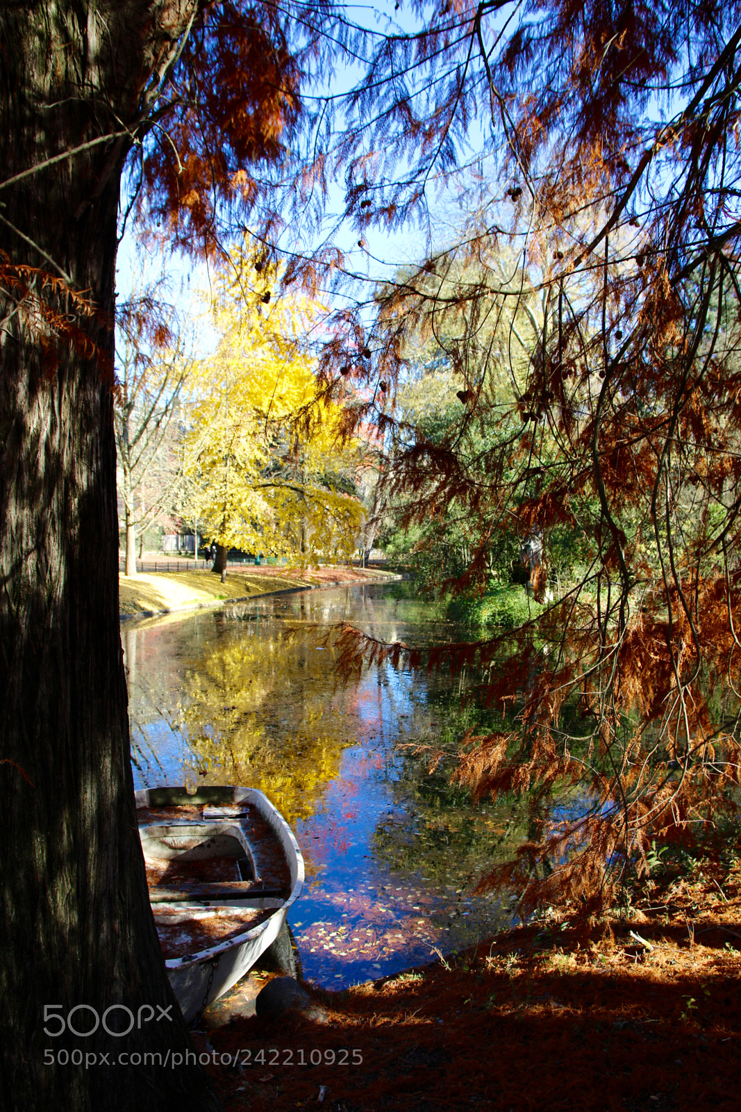 Canon EOS 7D Mark II sample photo. Tableau photography