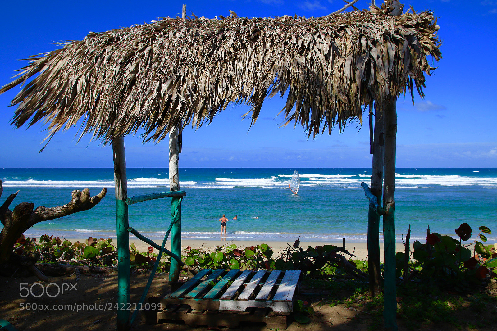 Canon EOS 7D Mark II sample photo. Paradise. rdzpics photography