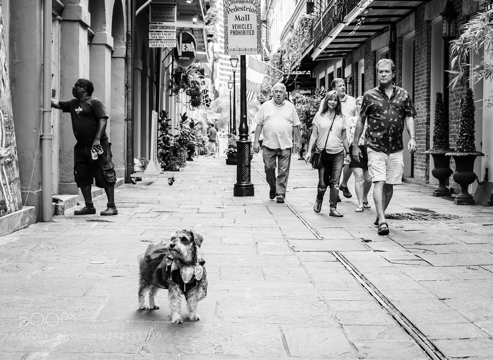 Nikon D810 sample photo. Buy sum art photography