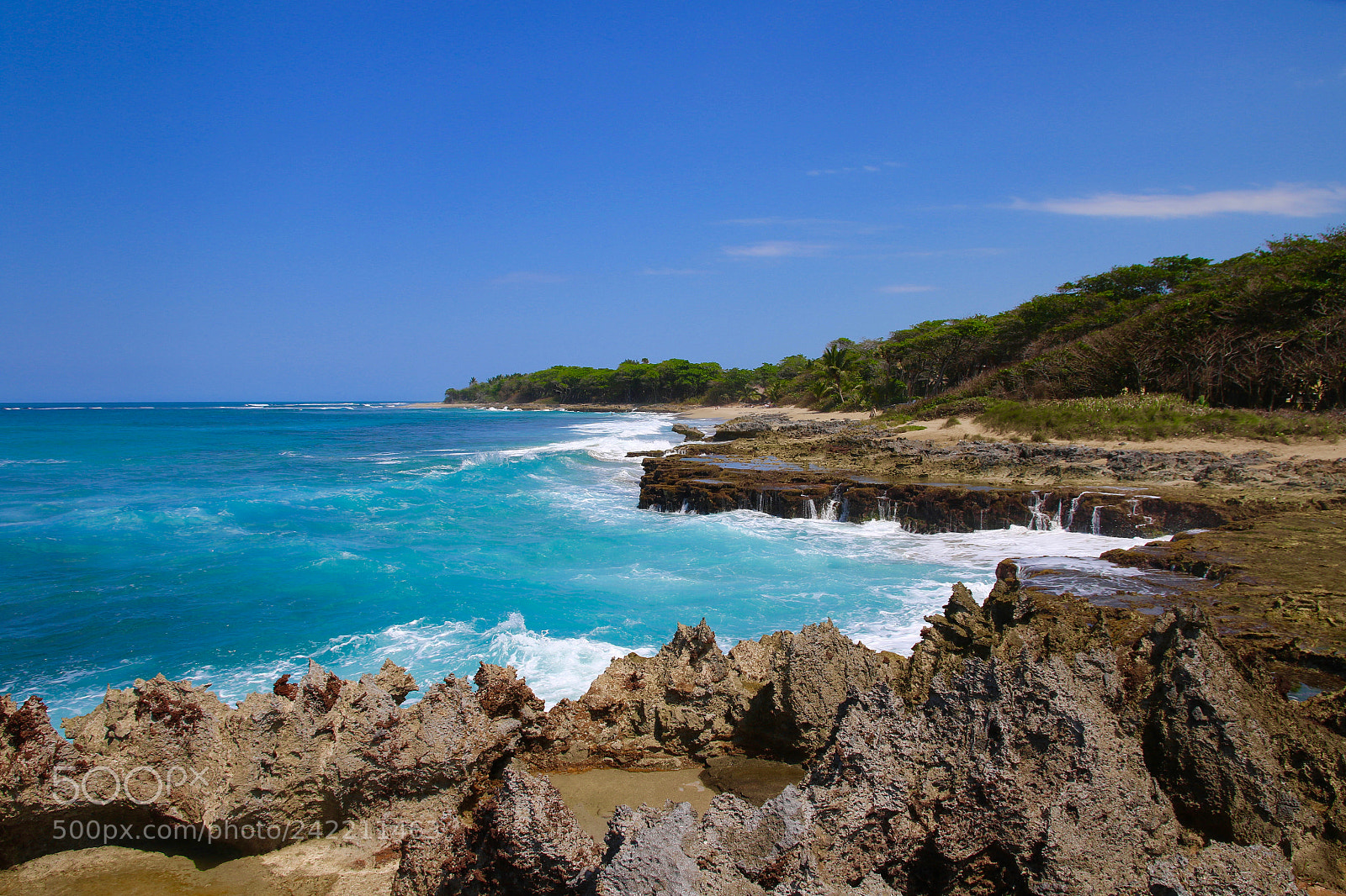 Canon EOS 7D Mark II sample photo. Paradise rdzpicsmovies photography