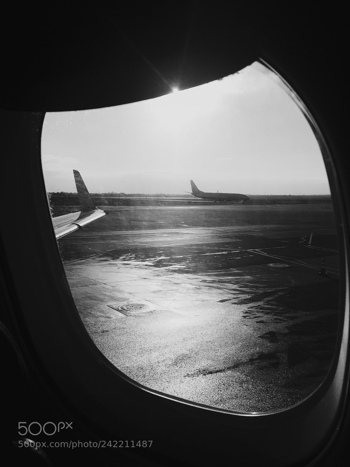 Apple iPhone 6 sample photo. Ready to fly away photography