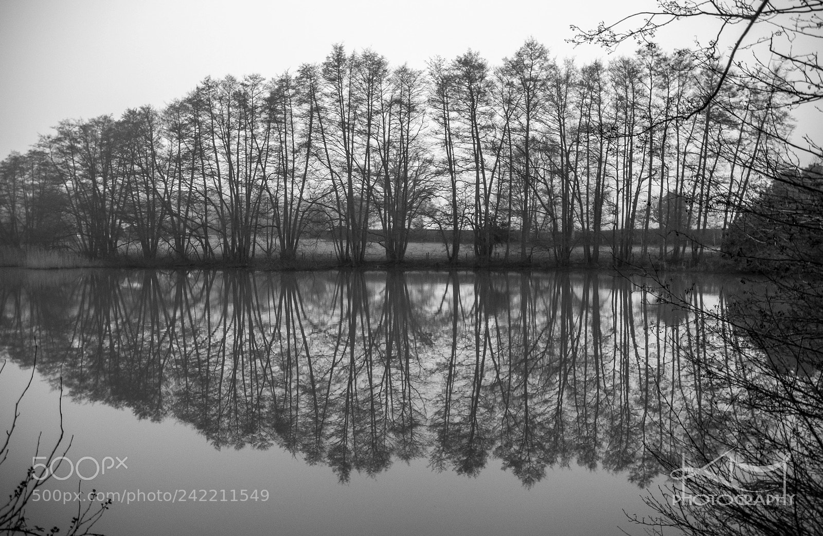 Nikon D810 sample photo. Reflection photography