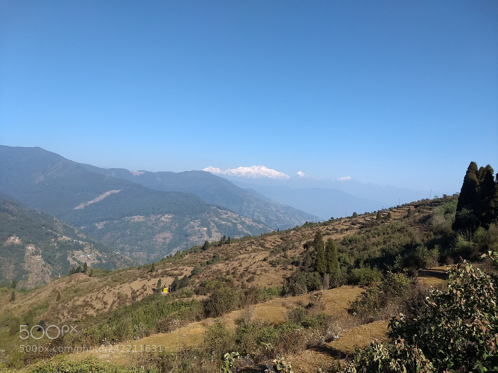 Motorola Moto G (5) Plus sample photo. Untitled photography