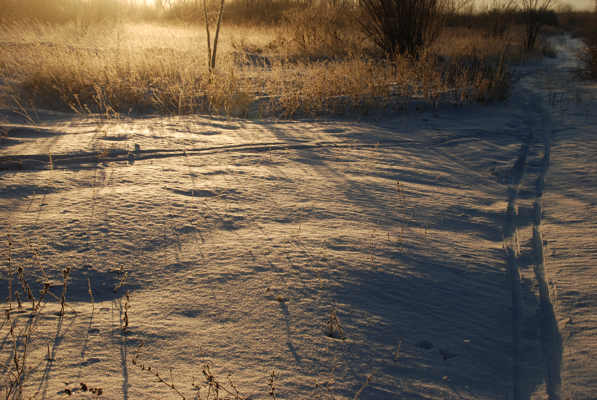 Nikon D80 sample photo. Winter snow photography