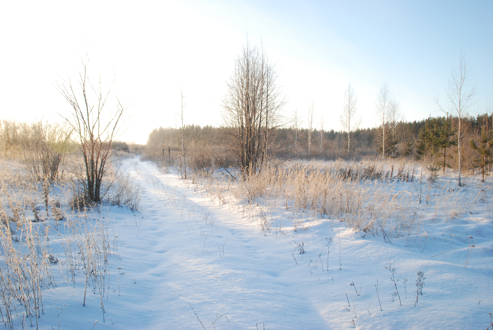 Nikon D80 sample photo. Winter road photography