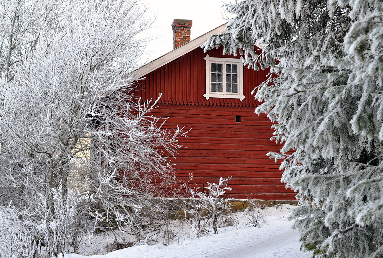 Nikon D3100 sample photo. Red shed photography