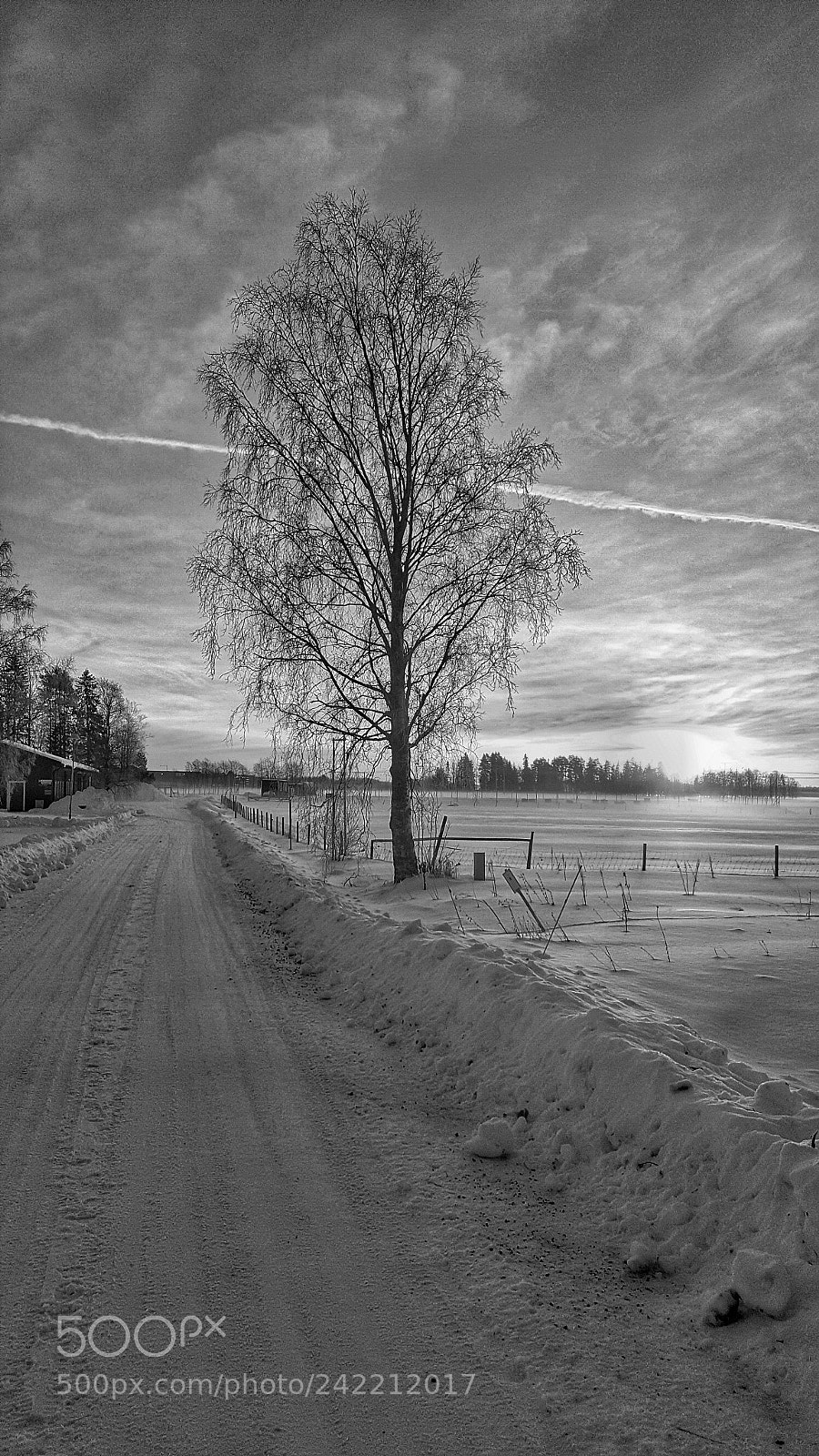 Samsung Galaxy S6 sample photo. A winter road in photography