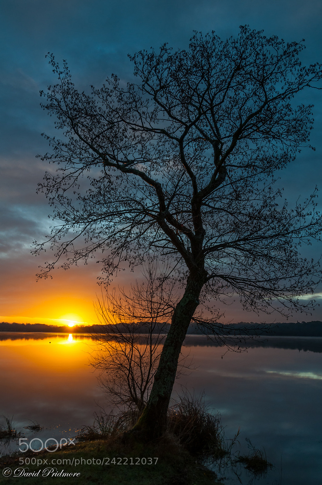 Nikon D90 sample photo. Sinrise photography