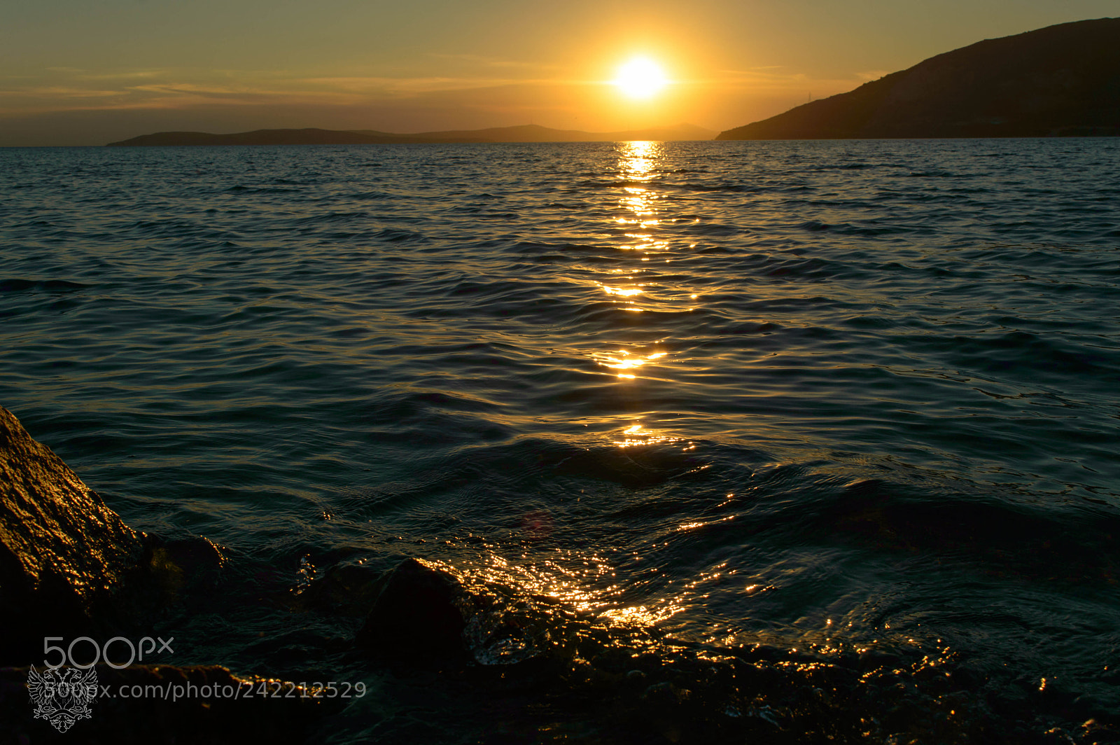 Nikon D3200 sample photo. Last sunlight photography