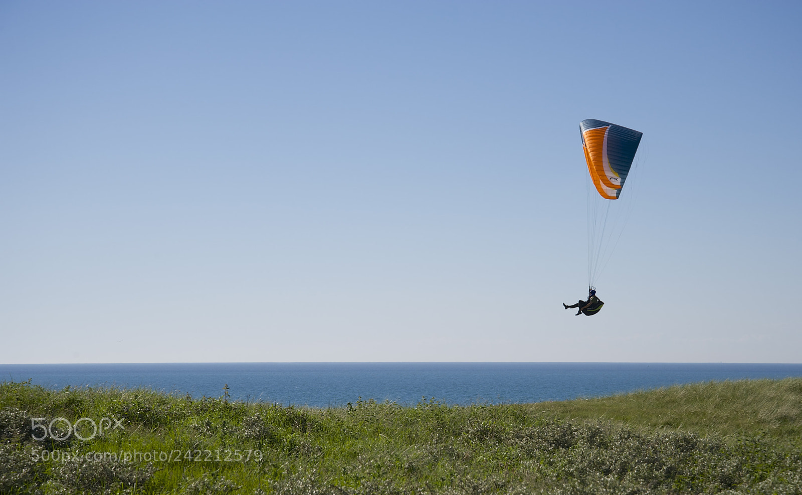 Nikon D3 sample photo. Fly free like an photography