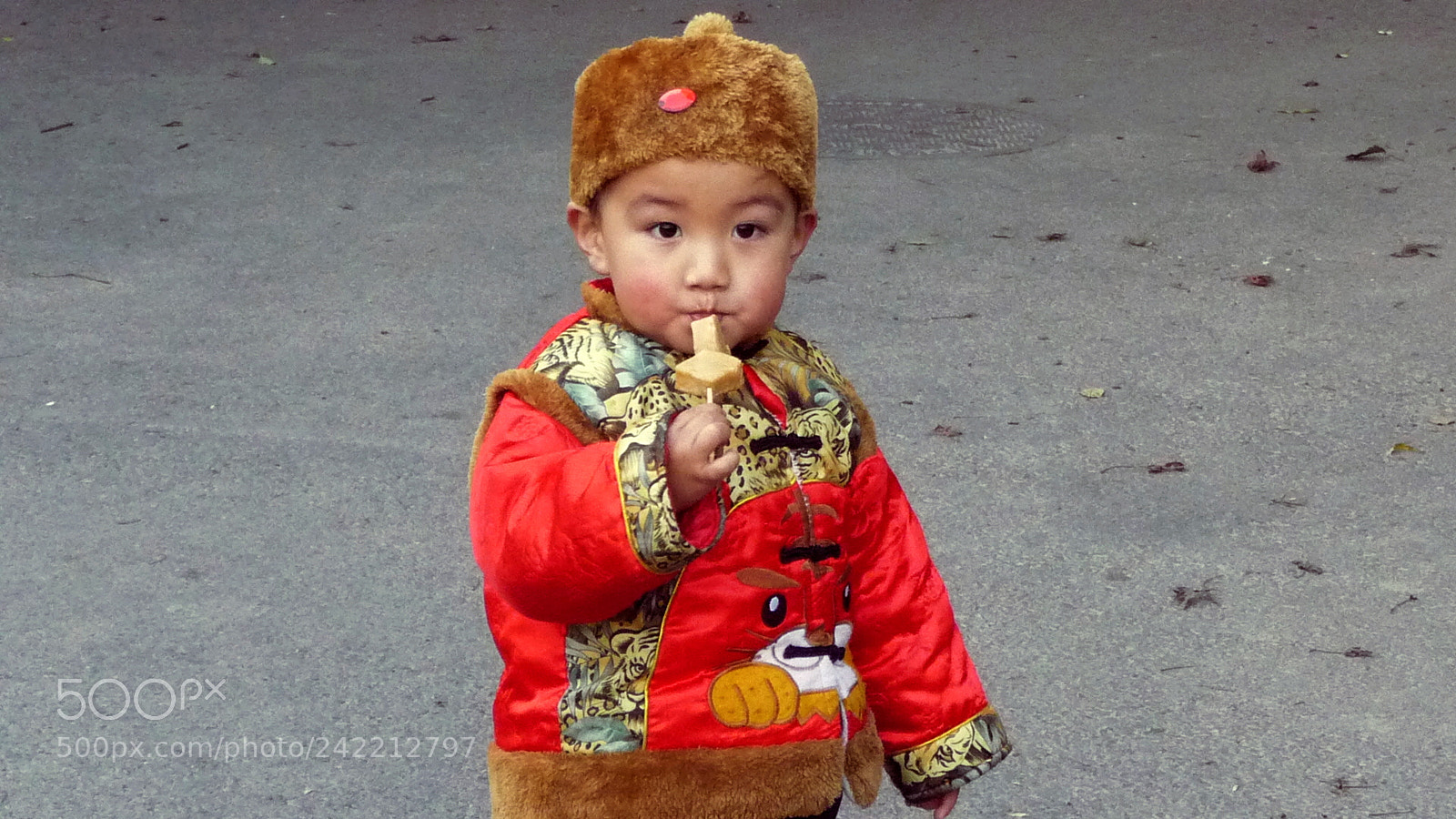 Panasonic Lumix DMC-TZ5 sample photo. Snack time photography