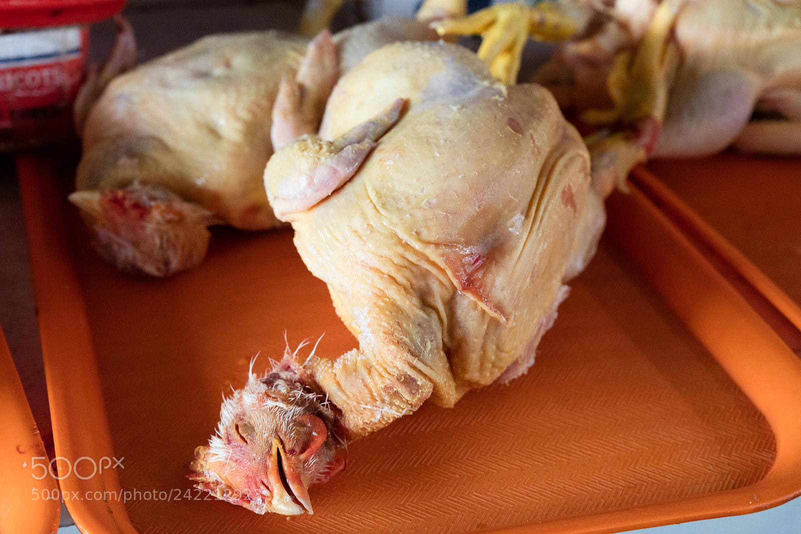Canon EOS 5DS R sample photo. Chicken exposed in market photography