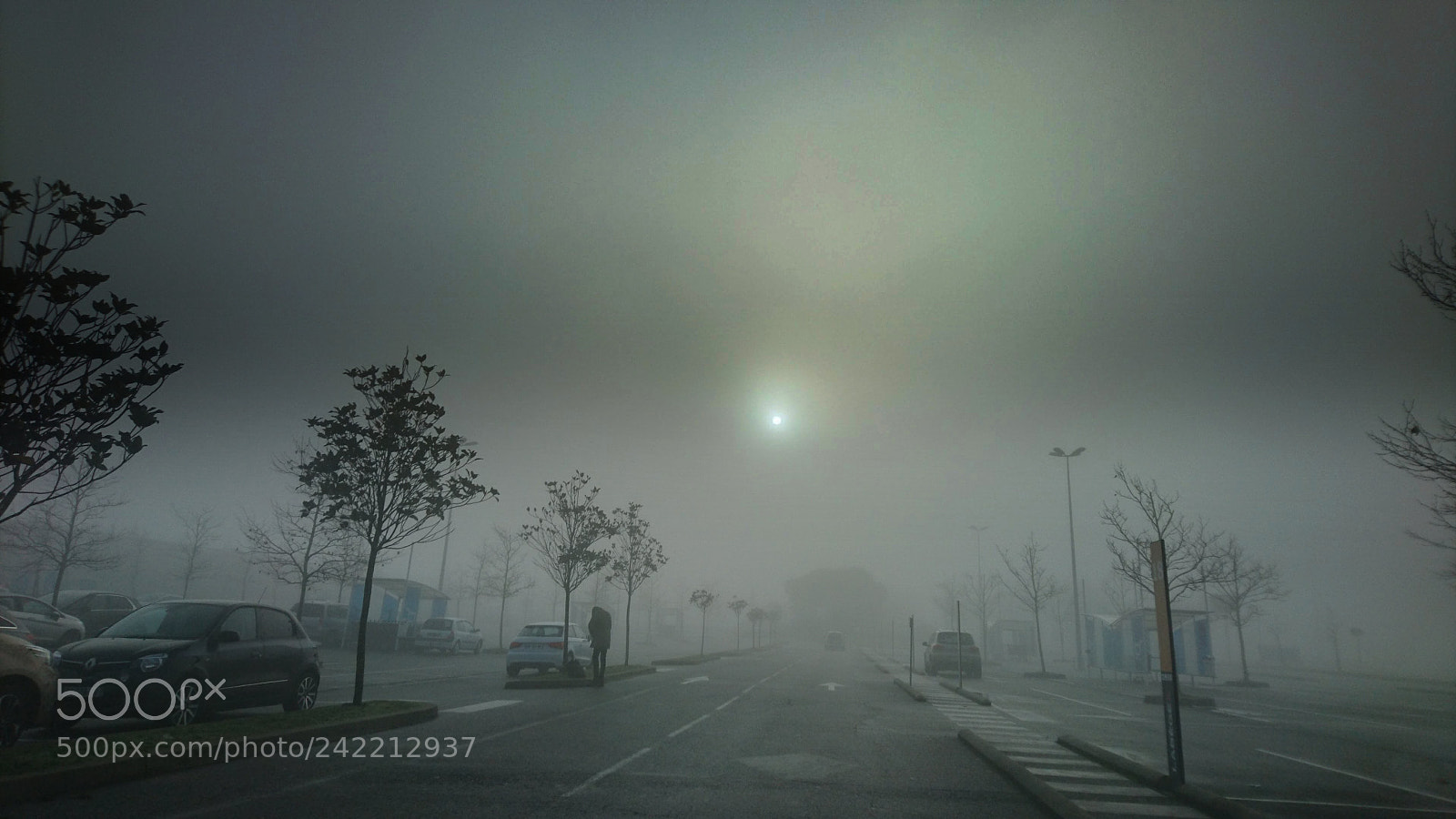 Sony Xperia Z5 sample photo. Perdu dans la brume photography