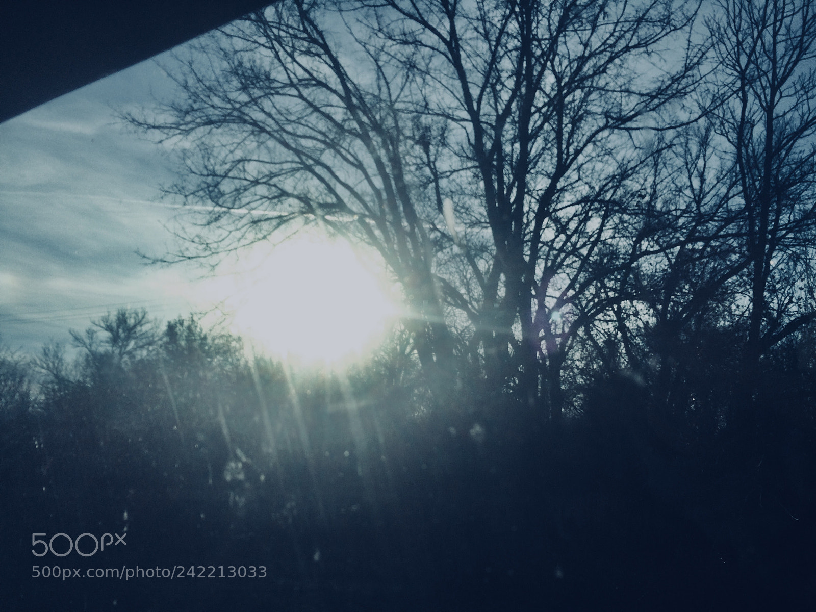 Apple iPhone 5s sample photo. Untitled photography