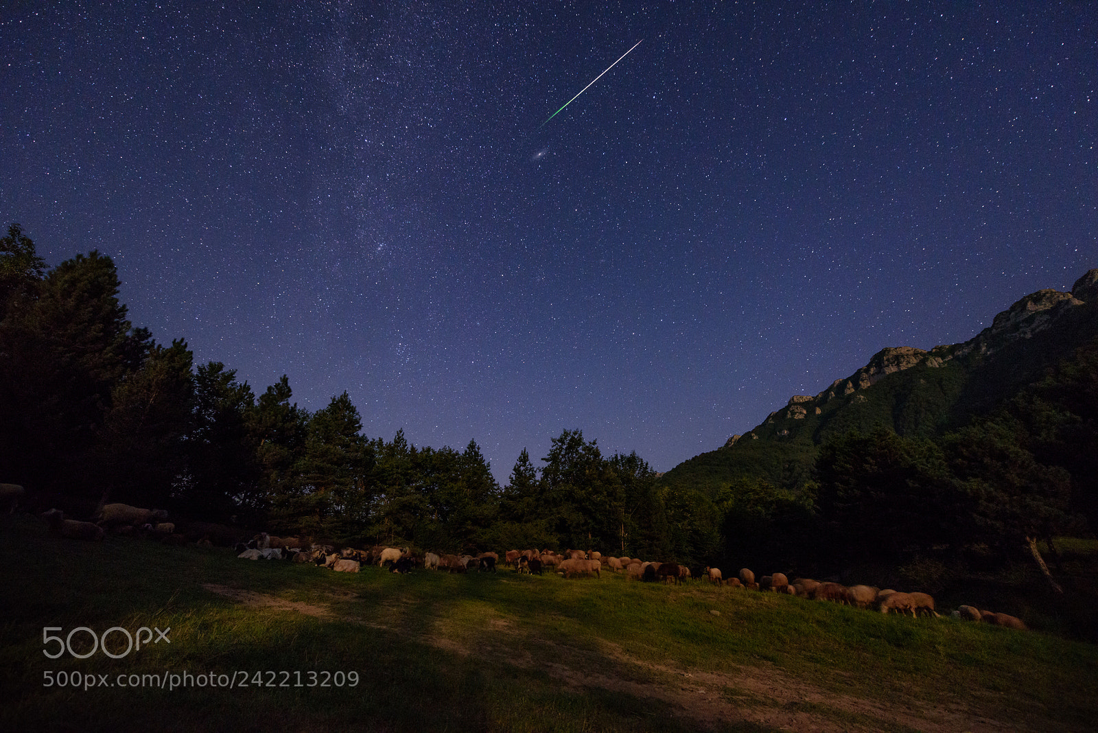 Nikon D810 sample photo. Perseid meteor over hircanian photography