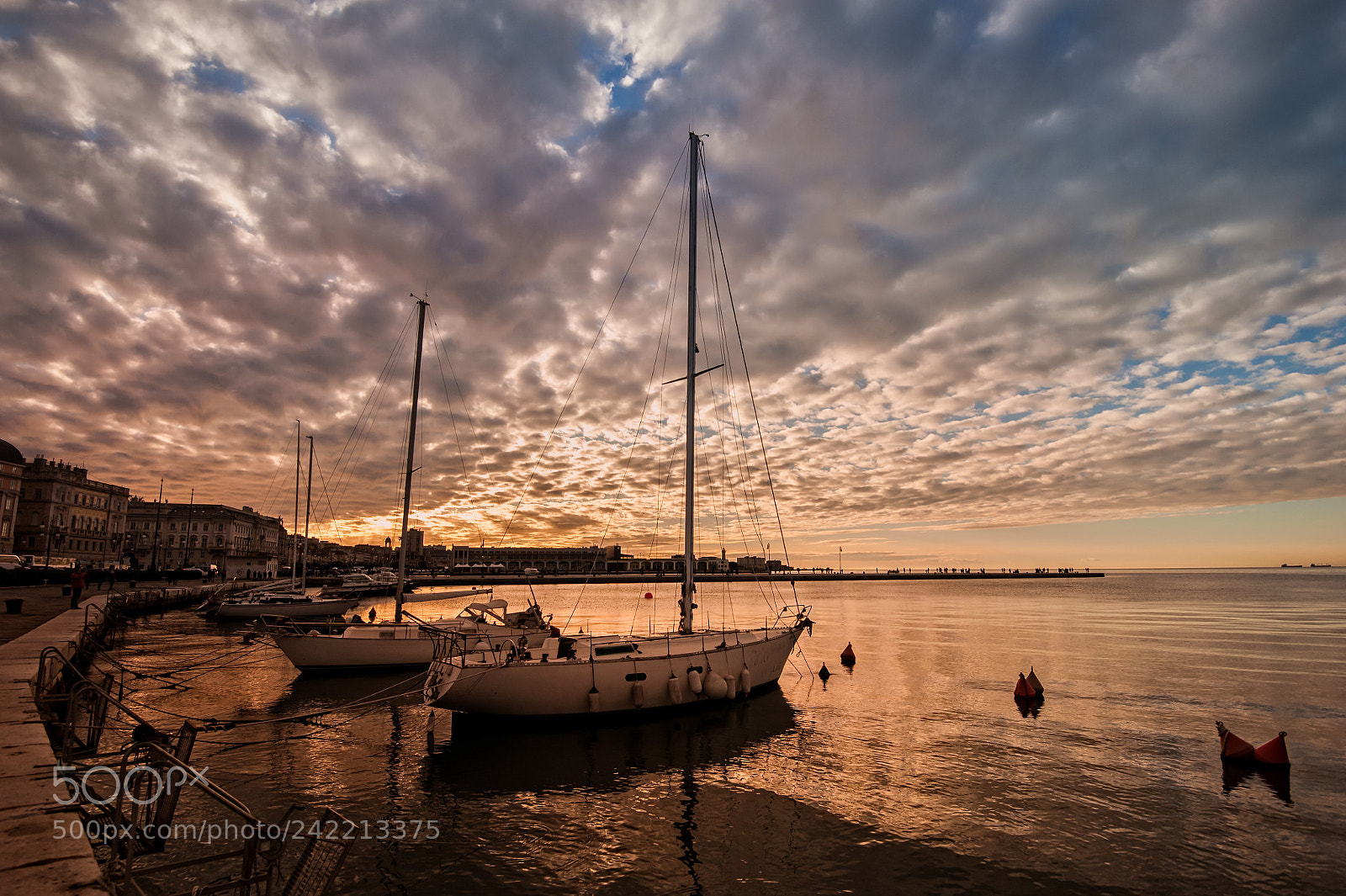 Nikon D700 sample photo. Pleasure boats in harbor. photography