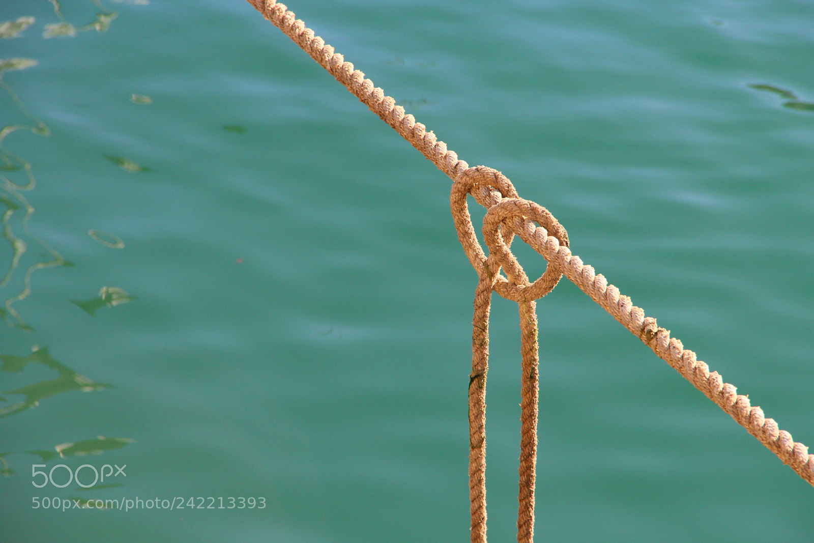 Canon EF-S 18-135mm F3.5-5.6 IS sample photo. 0614 photography