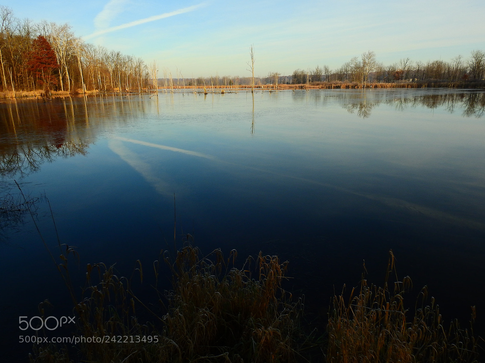 Nikon Coolpix P900 sample photo. Thin ice photography