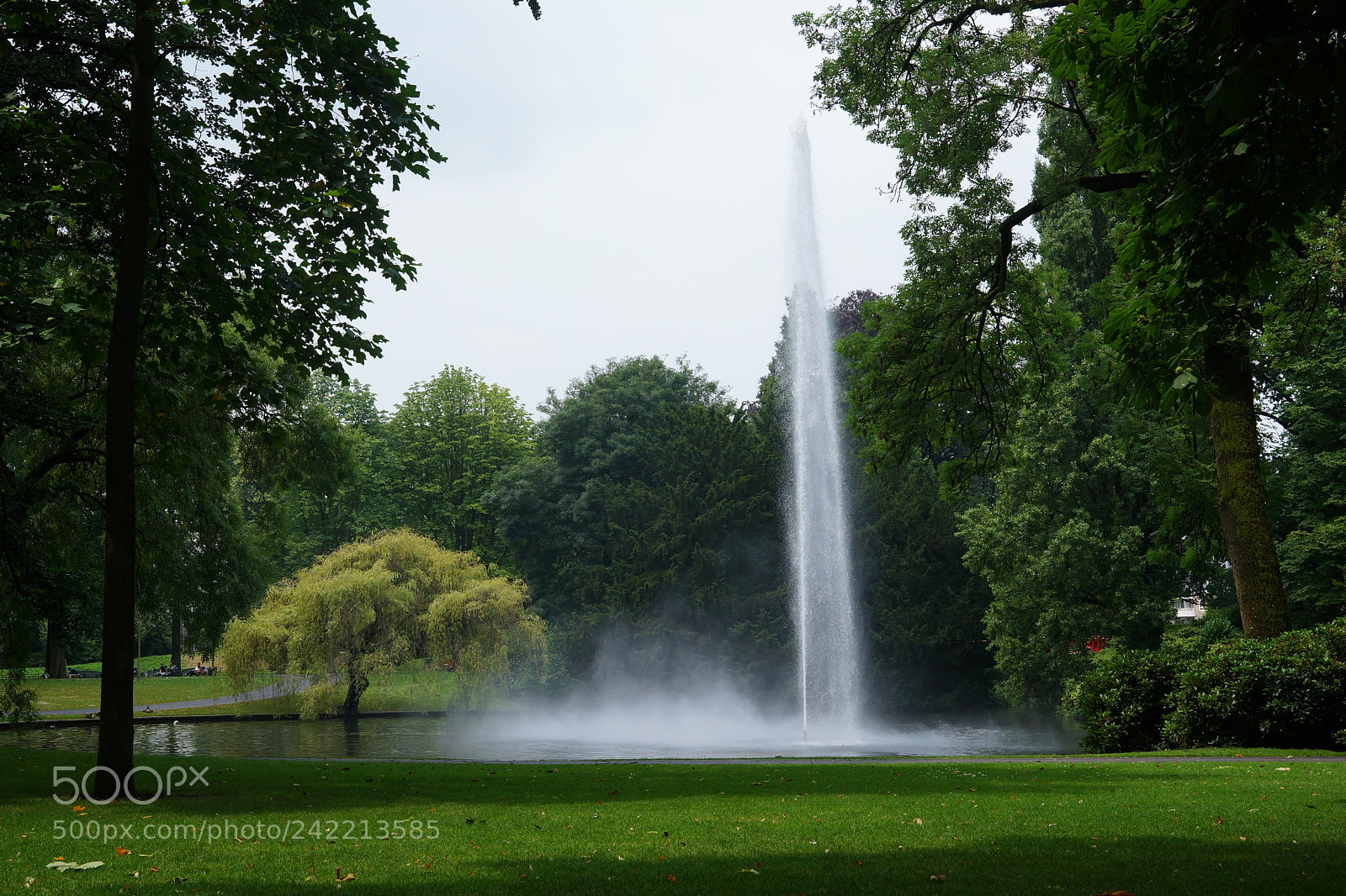 Sony SLT-A99V sample photo. Stadspark valkenberg photography