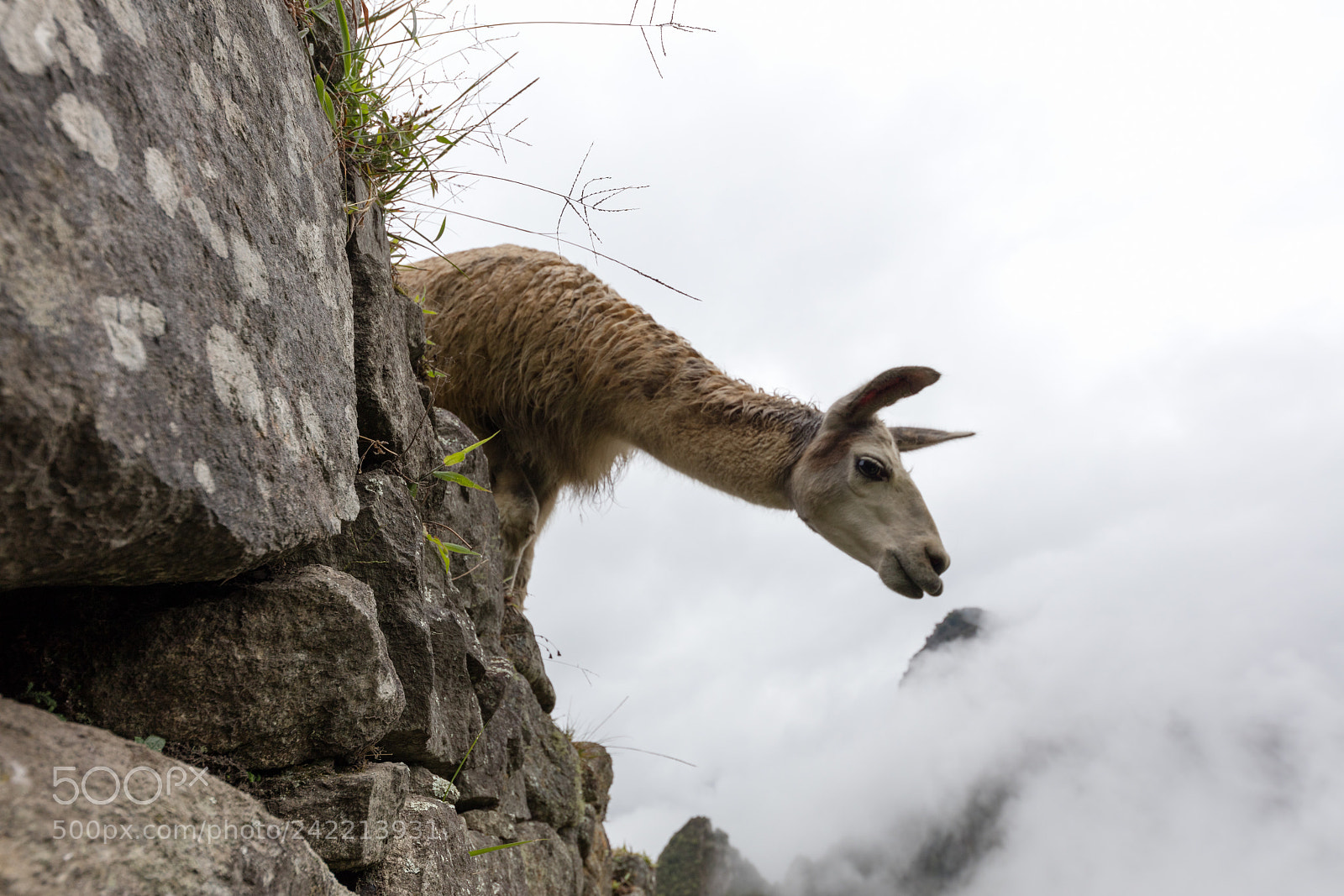 Canon EOS 5DS R sample photo. Machu picchu , peru, photography