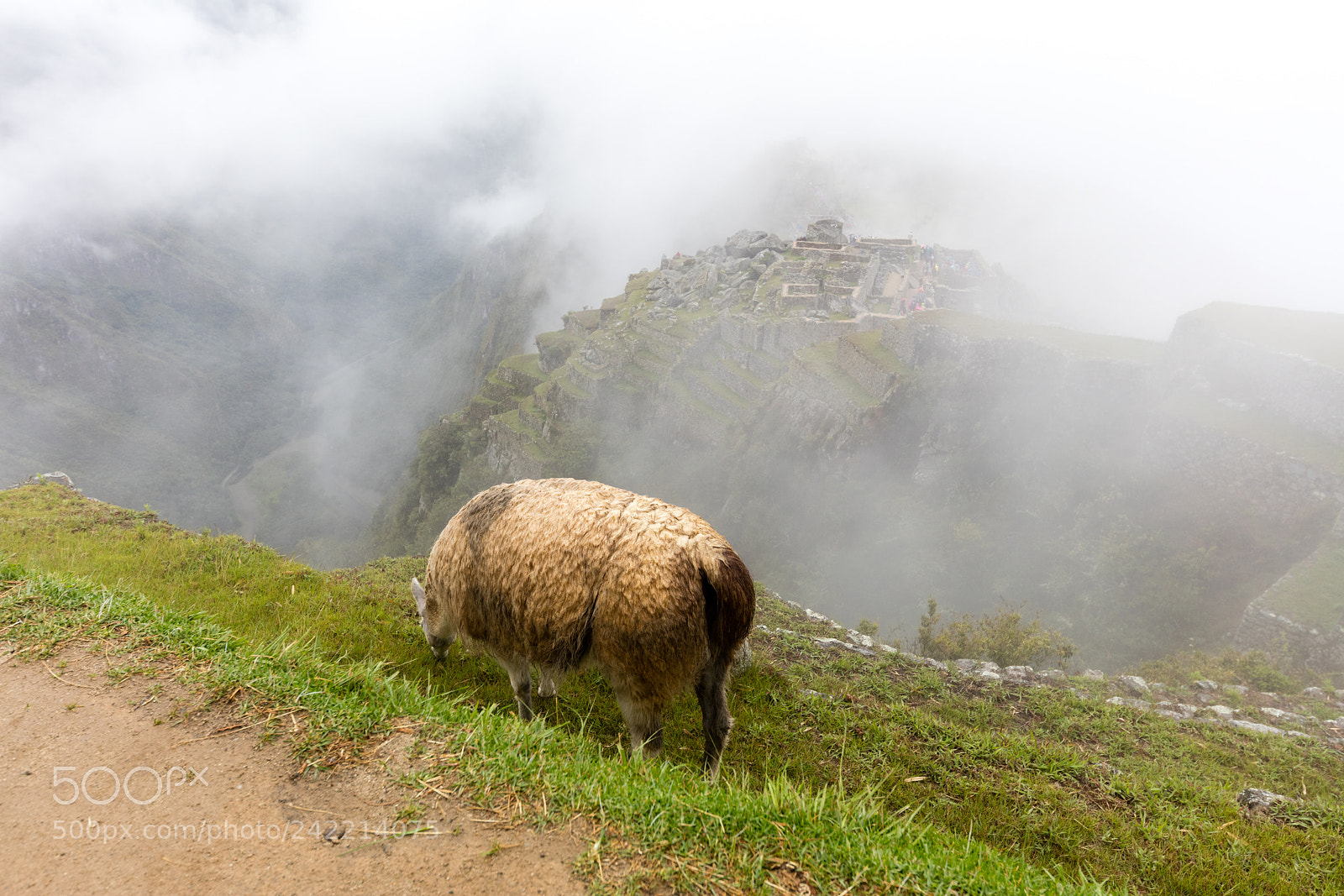 Canon EOS 5DS R sample photo. Machu picchu , peru, photography