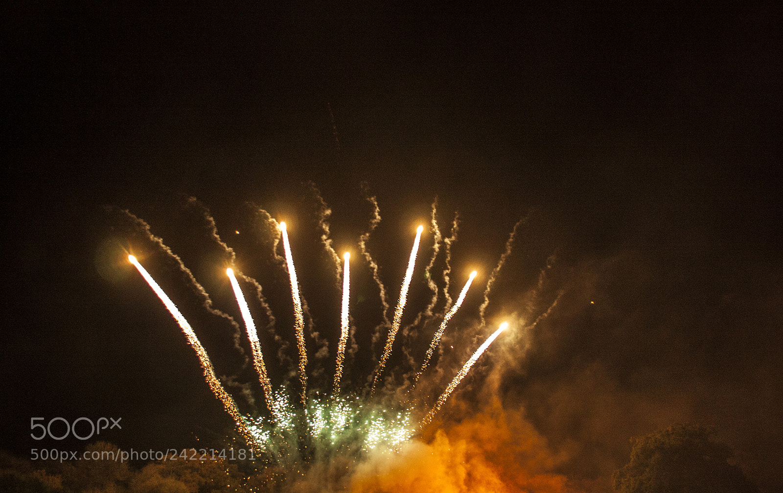 Canon EOS 450D (EOS Rebel XSi / EOS Kiss X2) sample photo. Fire works photography