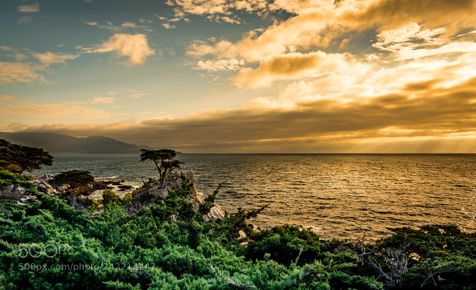 Nikon D810 sample photo. 17-mile-drive photography
